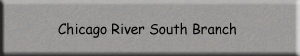 chicago river south branch