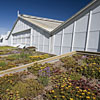 Garfield Park greenhouses