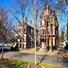 Vintage houses on 52nd Street