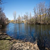 Sherman Park