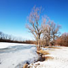 Flatfoot Lake in Beaubien Forest Preserve