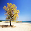 Beach at Pratt Boulevard Park