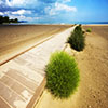 Beach at the Cultural Center