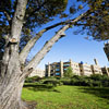 Park Castle Apartments